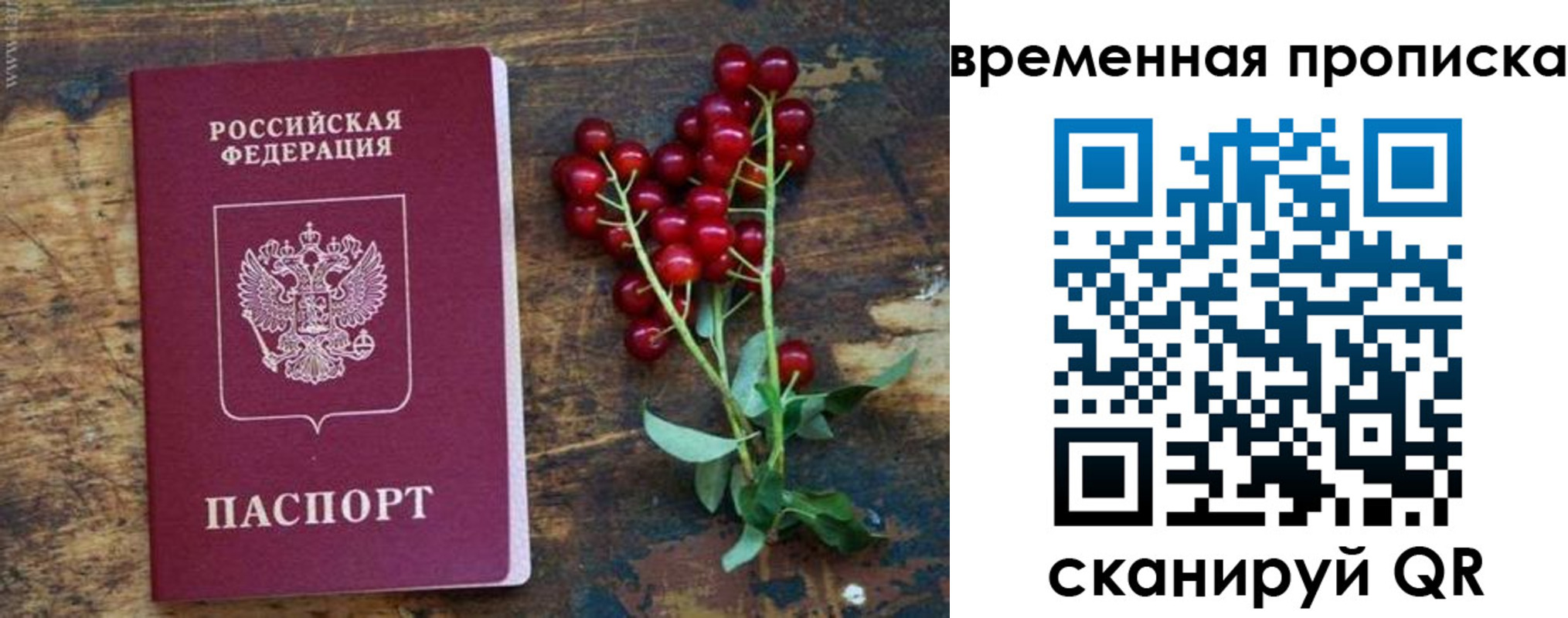 временная регистрация гарантия в Порхове